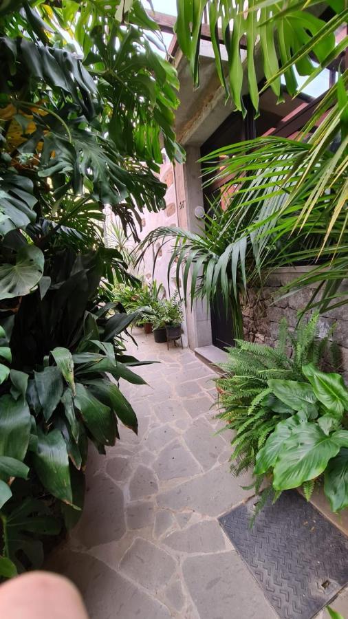Cho Almeida Vega de San Mateo Exterior foto